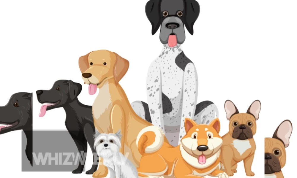 175 dogs saved from hoarder in gulfport ms. oct.2011: Full Story