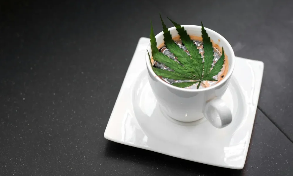 The Intersection of Luxury and Cannabis: A Growing Lifestyle Choice