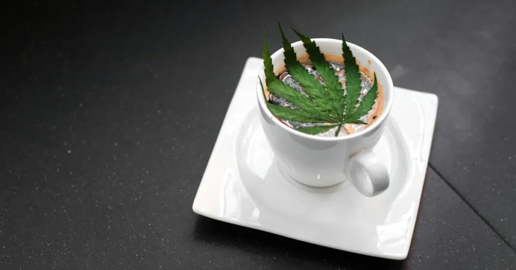 The Intersection of Luxury and Cannabis: A Growing Lifestyle Choice
