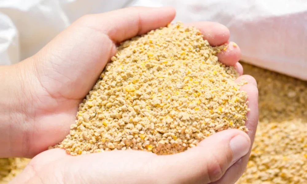 What to Look for in a Reliable Local Feed Store