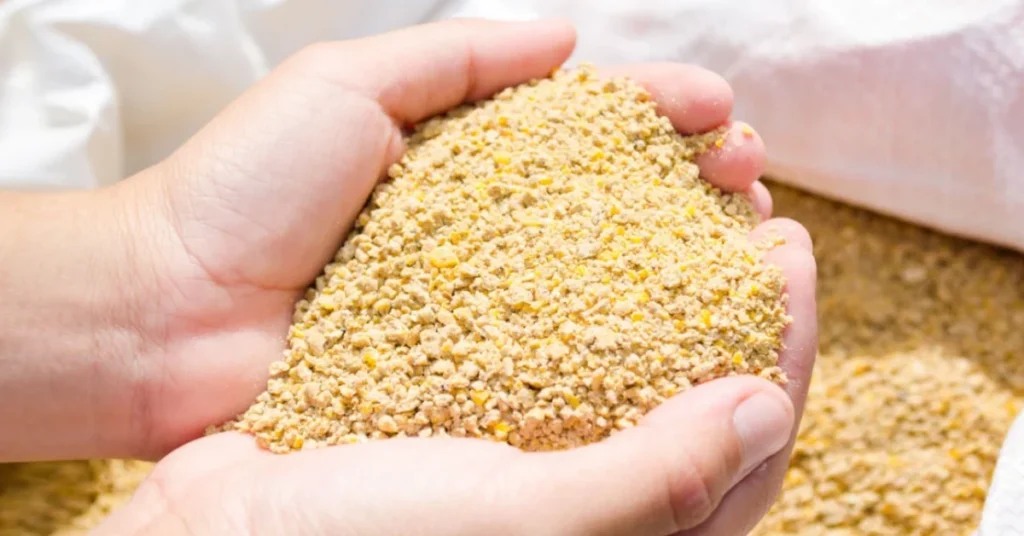 What to Look for in a Reliable Local Feed Store