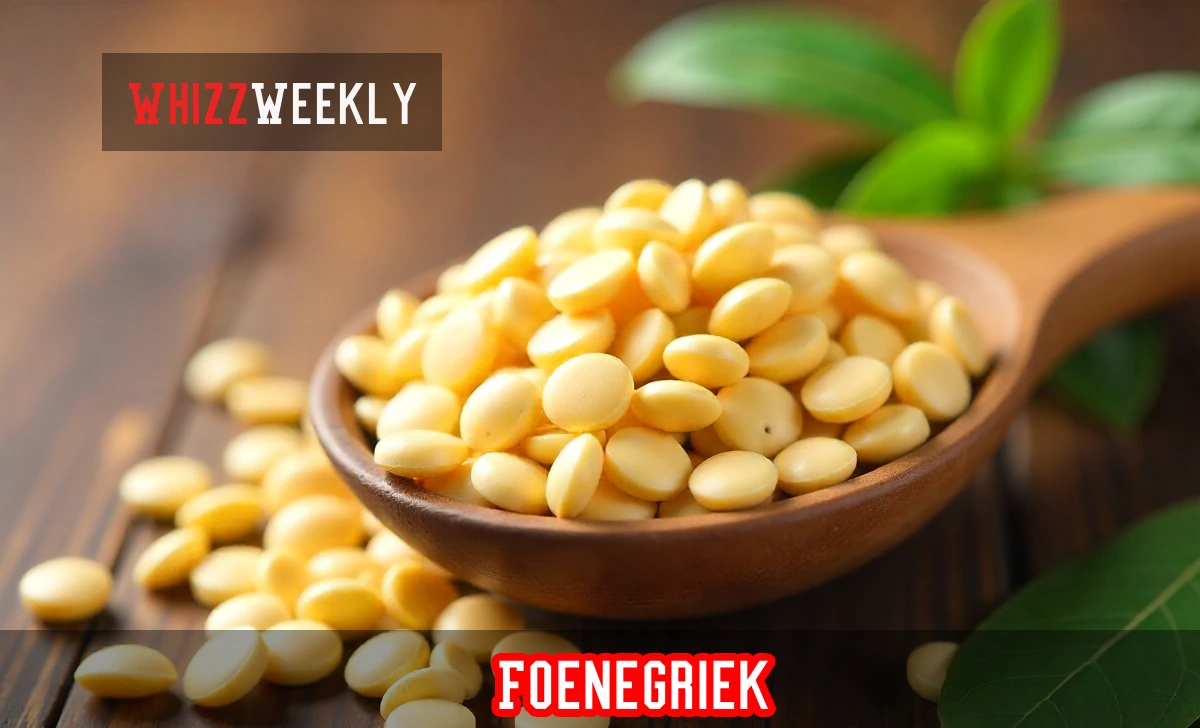 Foenegriek seeds in wooden bowl showing golden-brown fenugreek with nutritional and medicinal properties