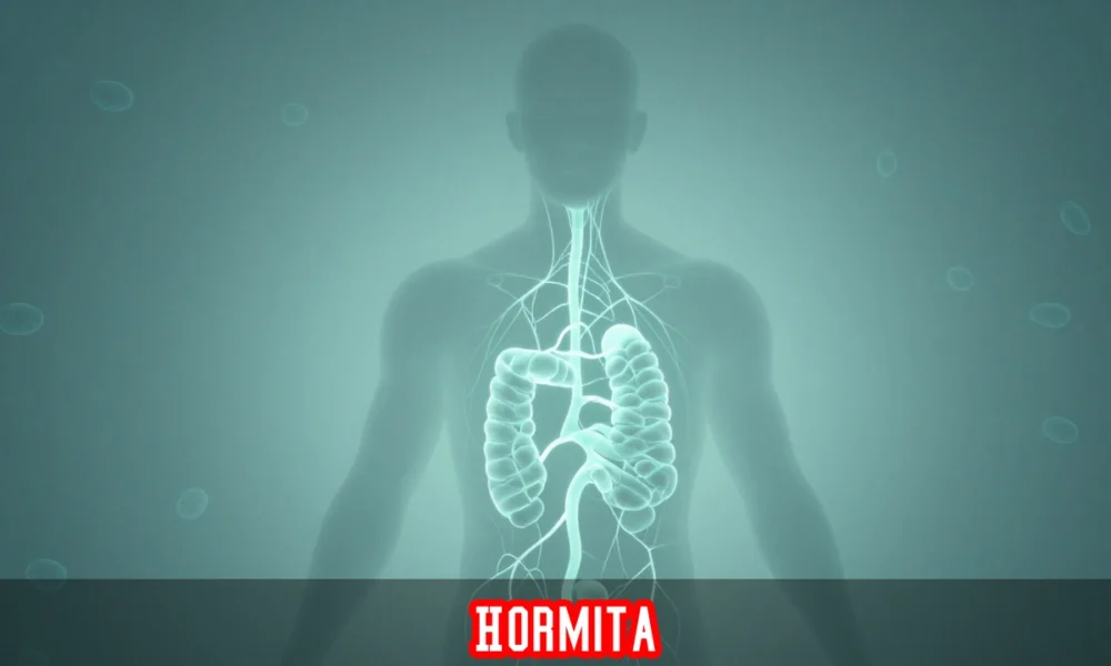 Hormita supplements with natural adaptogens for hormonal balance, energy support, and stress management through hormesis