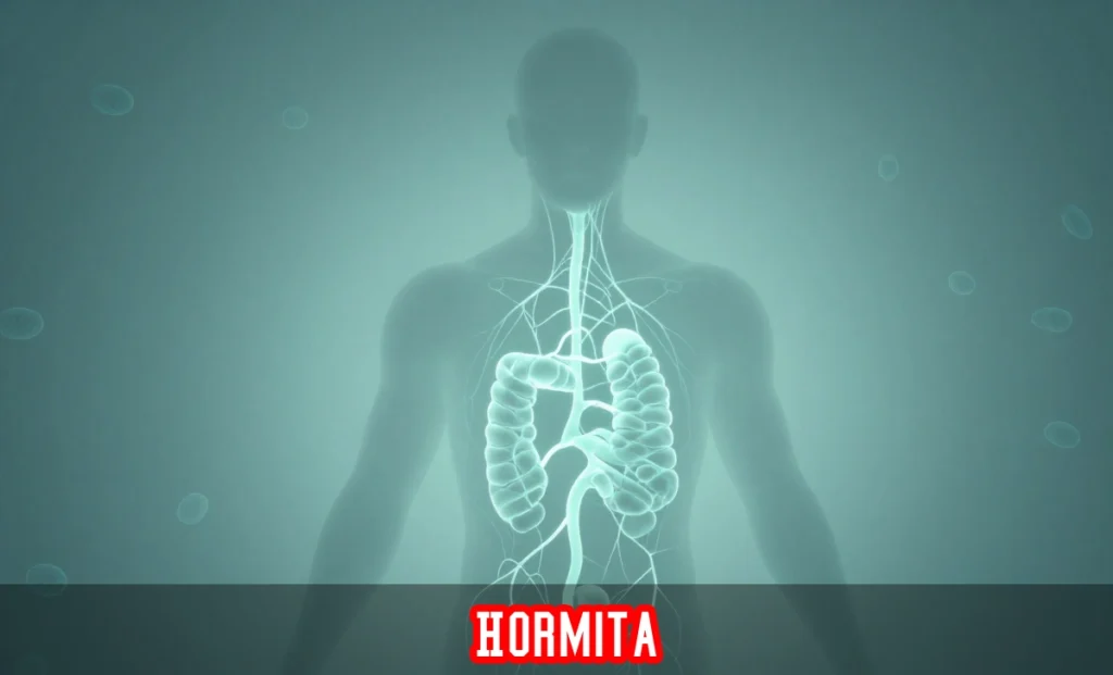Hormita supplements with natural adaptogens for hormonal balance, energy support, and stress management through hormesis