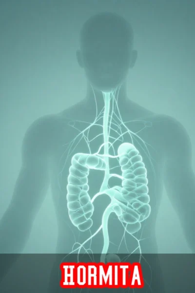 Hormita supplements with natural adaptogens for hormonal balance, energy support, and stress management through hormesis