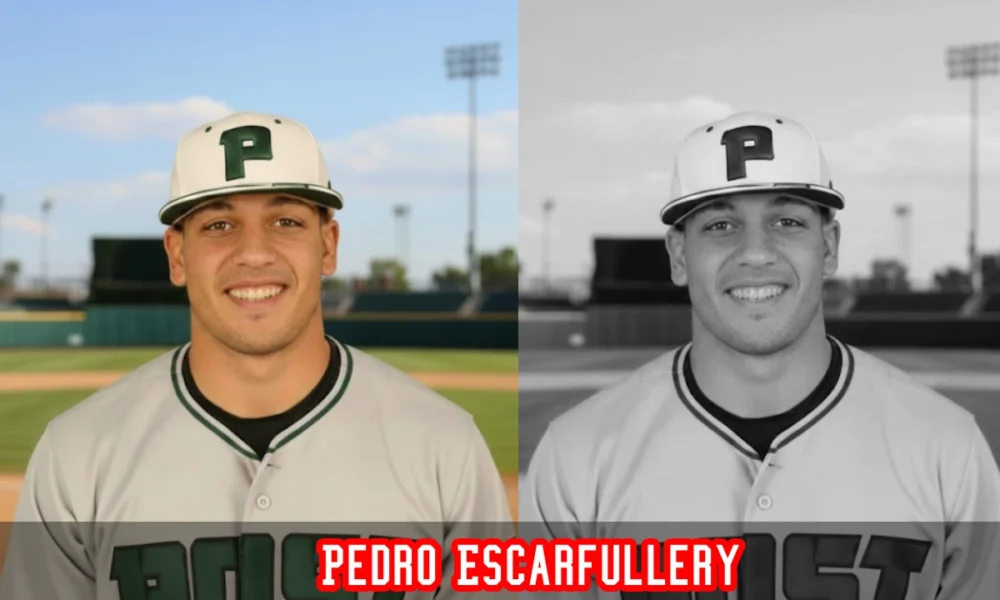 Pedro Escarfullery, Post University baseball outfielder, Waterbury, Connecticut, class of 2009 prospect.